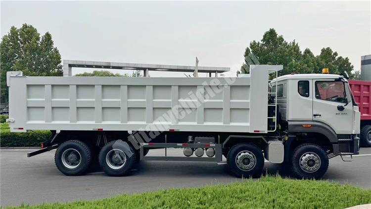 Howo 8x4 Dump Truck for Sale In Tanzania